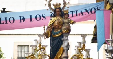 Galeria: Salida Procesional de Maria Auxiliadora